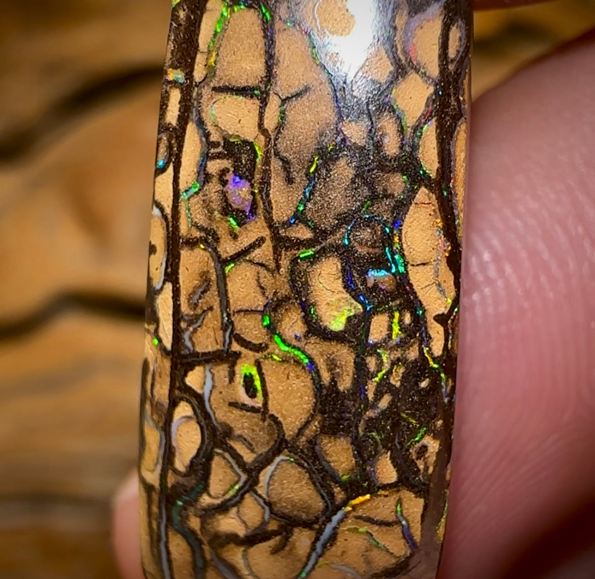 16.6cts - Yowah Nut Tribal Opal - Opal Whisperers