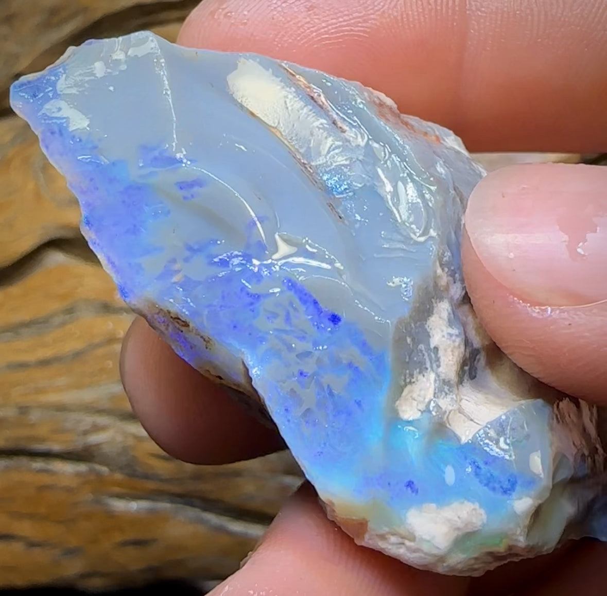 186.8cts - Large Lightning Ridge Opal Rough Piece. GEM Cutter!