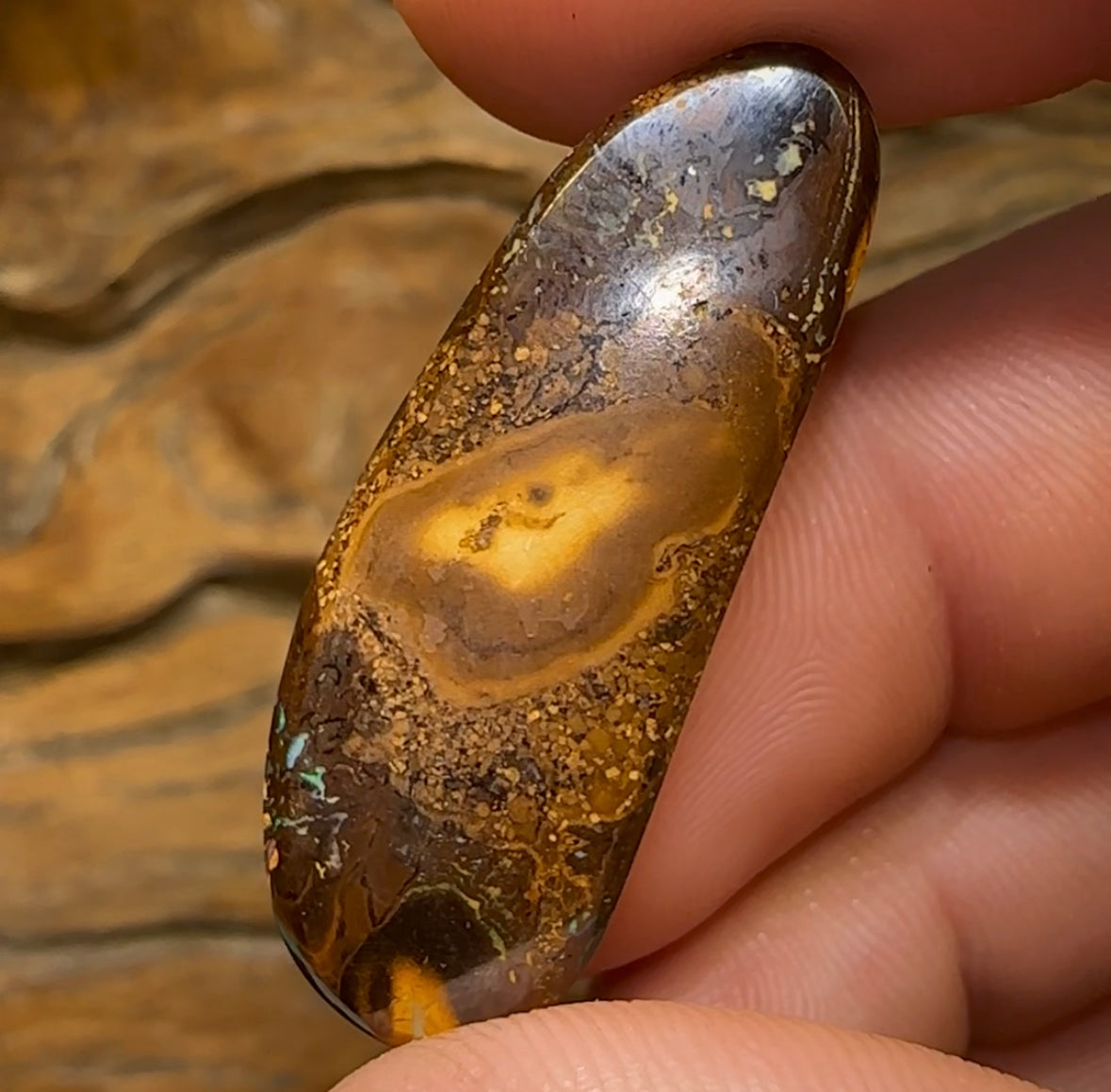 35.8cts - Yowah Boulder Australian Opal - Opal Whisperers