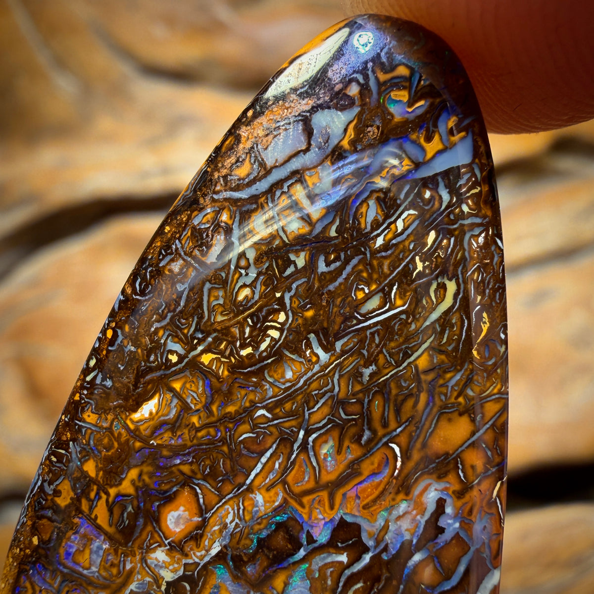 51.3cts - Tribal Koroit Nut Opal. Double Sided