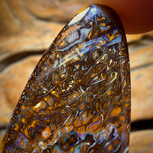 51.3cts - Tribal Koroit Nut Opal. Double Sided