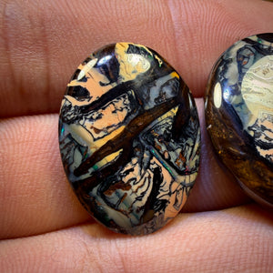 50.8cts - Alex Pick “WINDOWS”  TOP Yowah Nut Kernel Tribal Opal Picture Pair