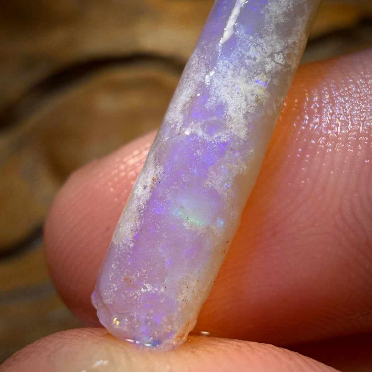 8.2cts - Opalised Belemnite Geological Specimen from South Australia