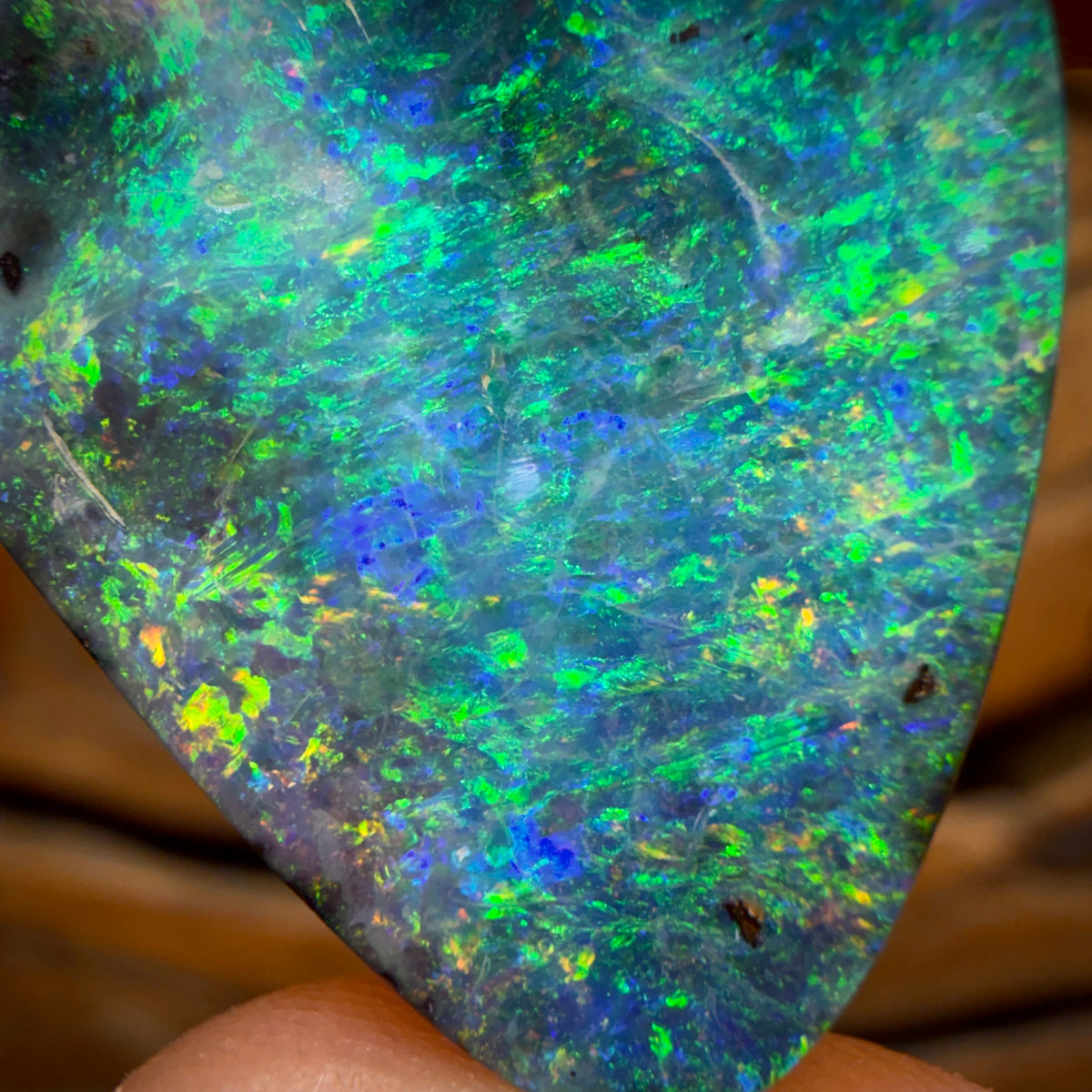 31.1cts - Gem Queensland Boulder Seam Opal