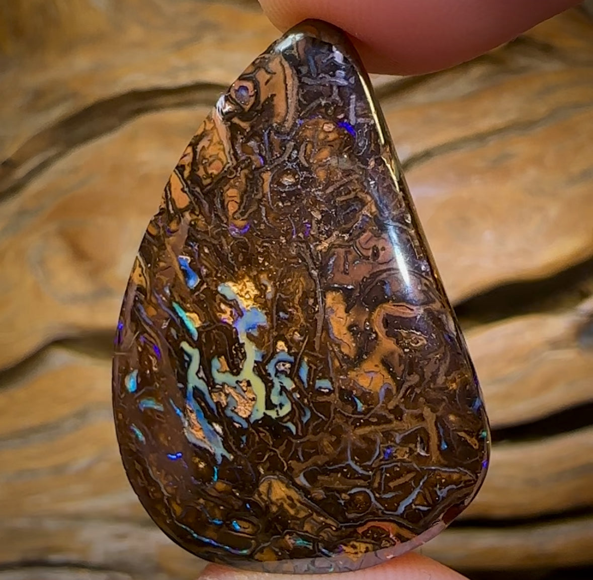 53.5cts - Electric Tribal Queensland Boulder Opal