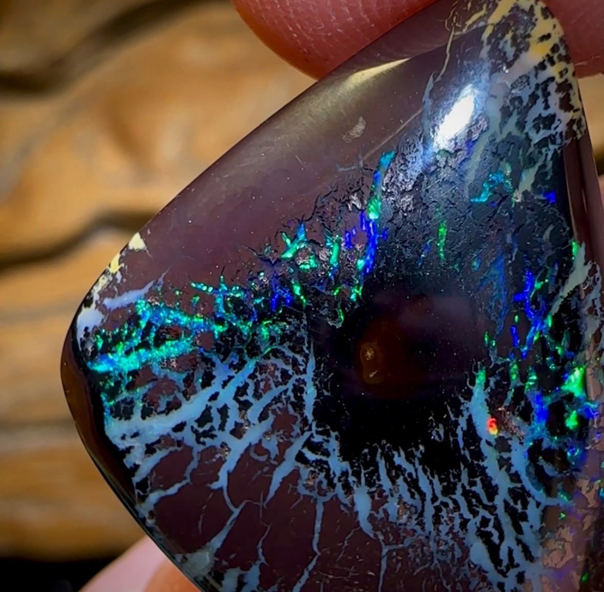 36.3cts - “Black Hole” Tribal Queensland Boulder Opal Picture Stone from Koroit