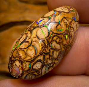 28.5cts - “Celebrity Stone” Top Tan Tribal Yowah Nut Opal. Featured on “Outback Opal Hunters”!