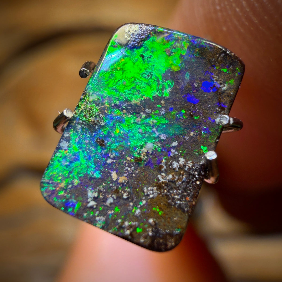 1.5cts - Solid Queensland Boulder Opal