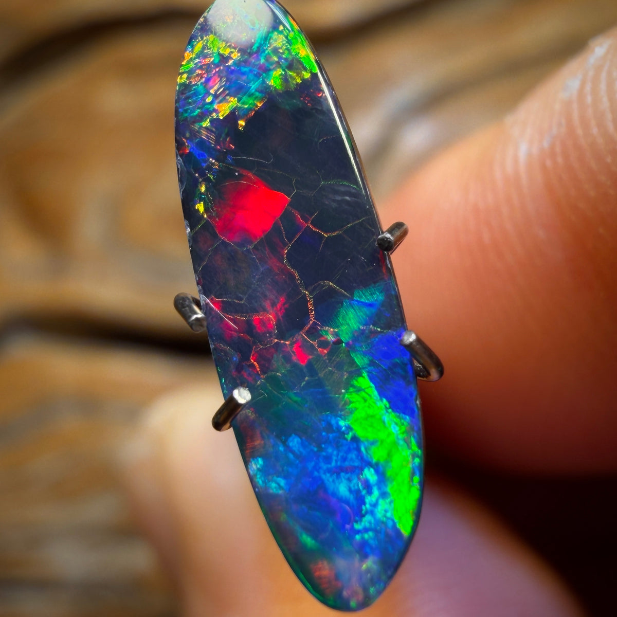 1.6cts - “Solar Flare” Australian Boulder Opal Doublet