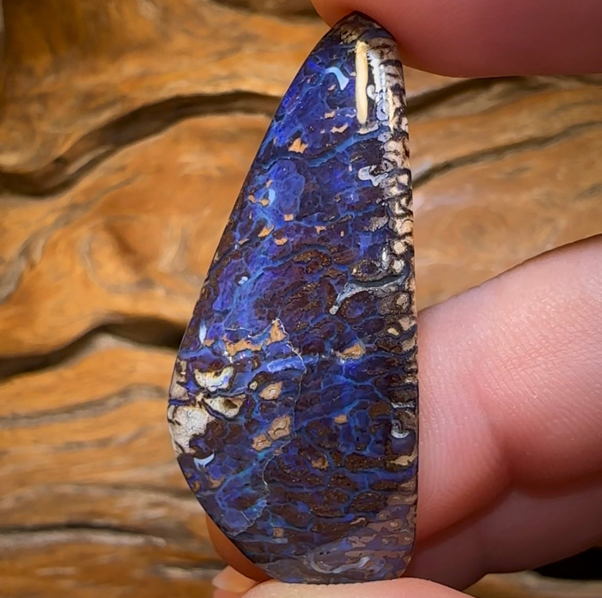 41.1cts - Koroit Nut Opal. Australian Opal - Opal Whisperers