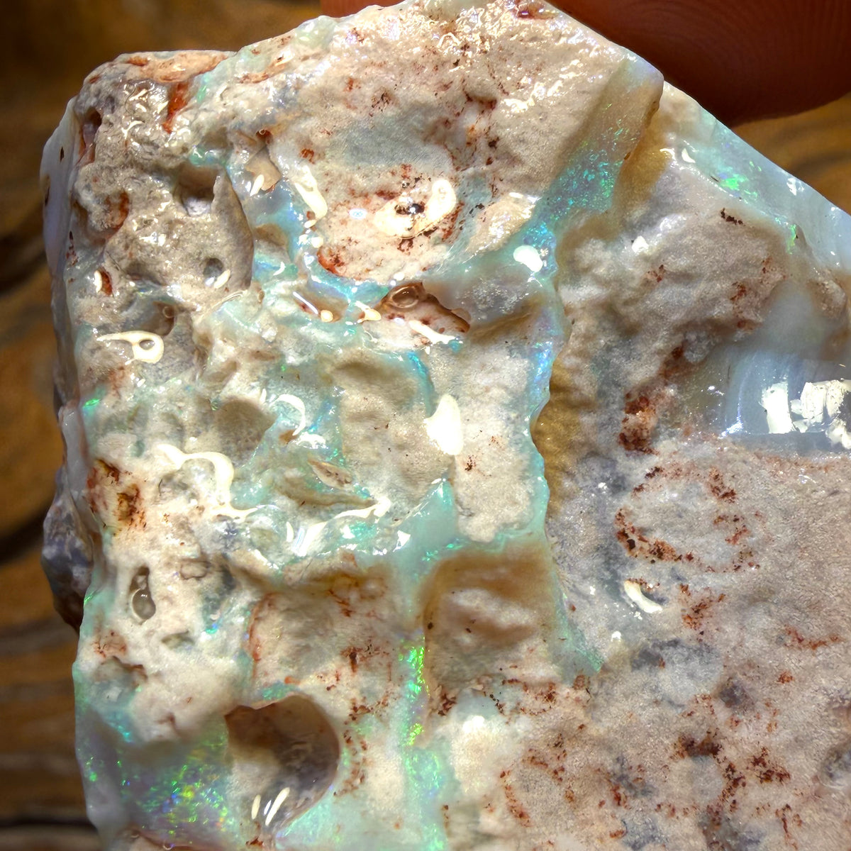 186.1cts - Large Lightning Ridge Dark Opal Rough Piece