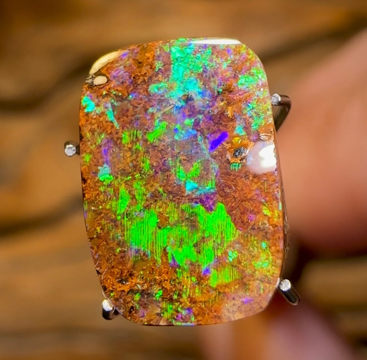 3.4cts - Winton Seam Opal. Australian Boulder Opal - Opal Whisperers