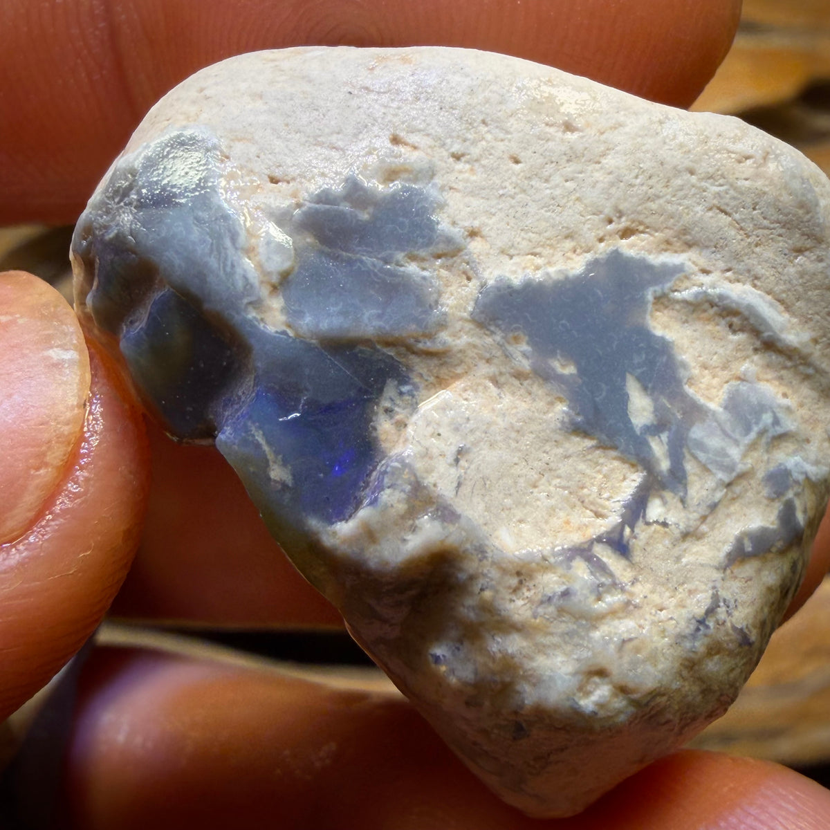 163.4cts - 3x Lightning Ridge Opal Rough Parcel