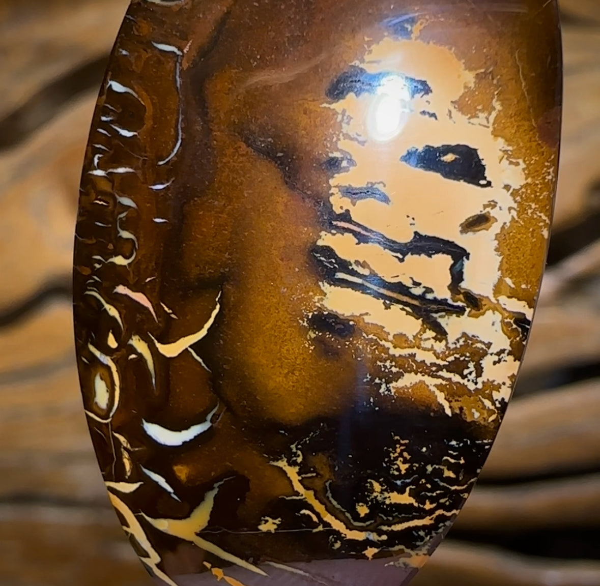 51.1cts - Queensland Boulder Opal BARGAIN PICTURE STONE