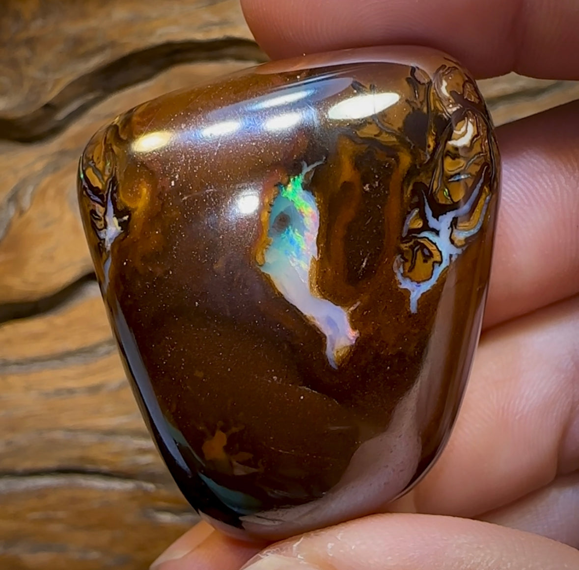 273.7cts - “Mystic Creature” Yowah Nut Crystal Centre Opal. Polished Specimen - Opal Whisperers