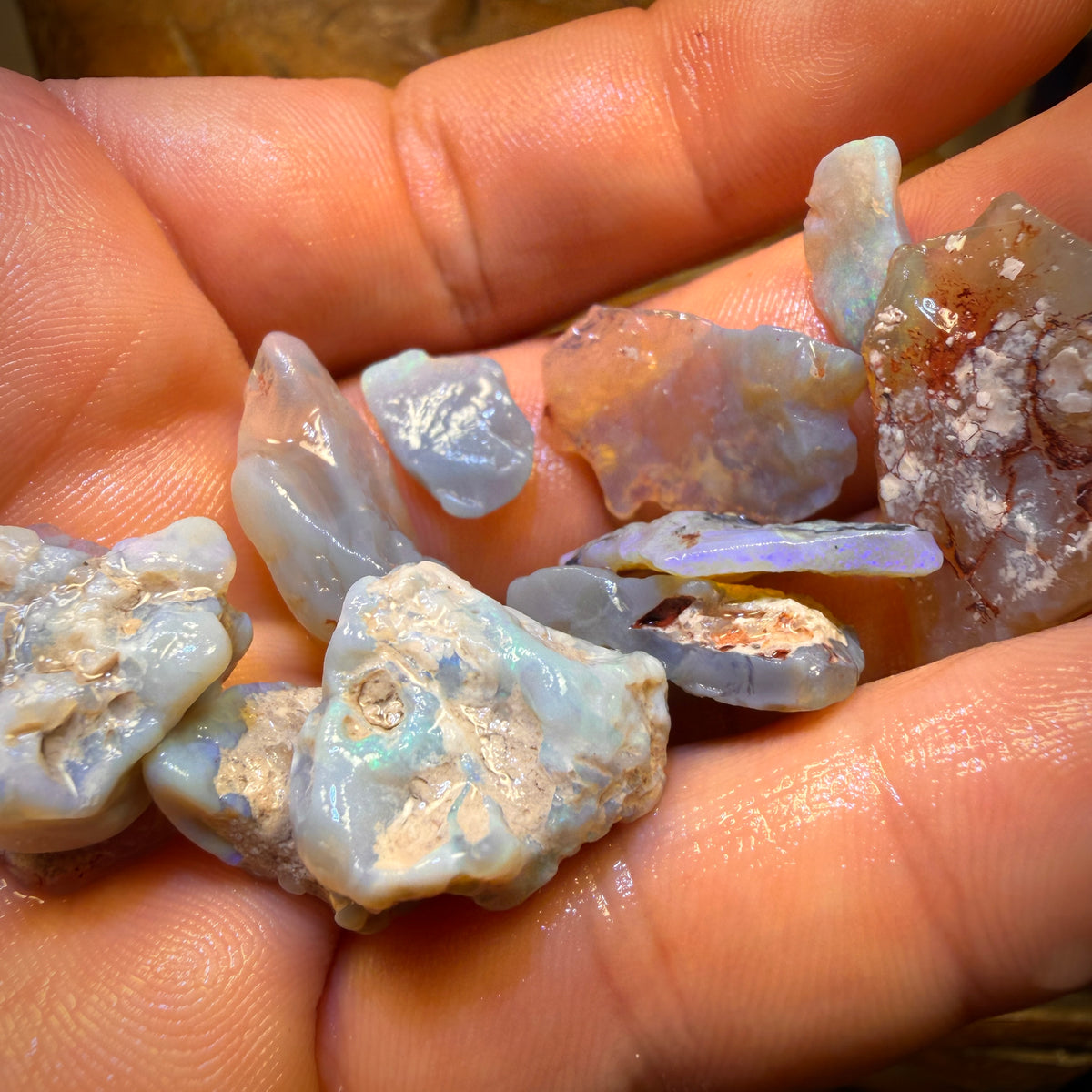126.2cts - 15x Lightning Ridge Opal Rough Parcel. Potch n Colour