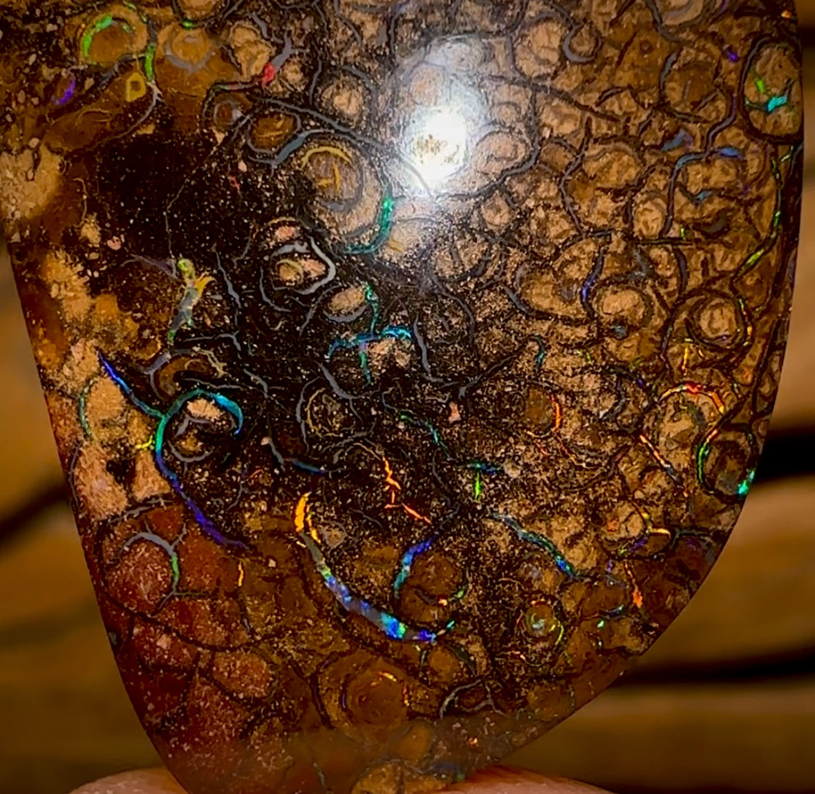 35.3cts - Tribal Queensland Boulder Opal from Yowah