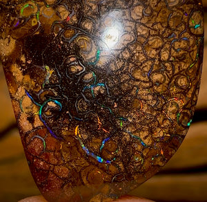 35.3cts - Tribal Queensland Boulder Opal from Yowah