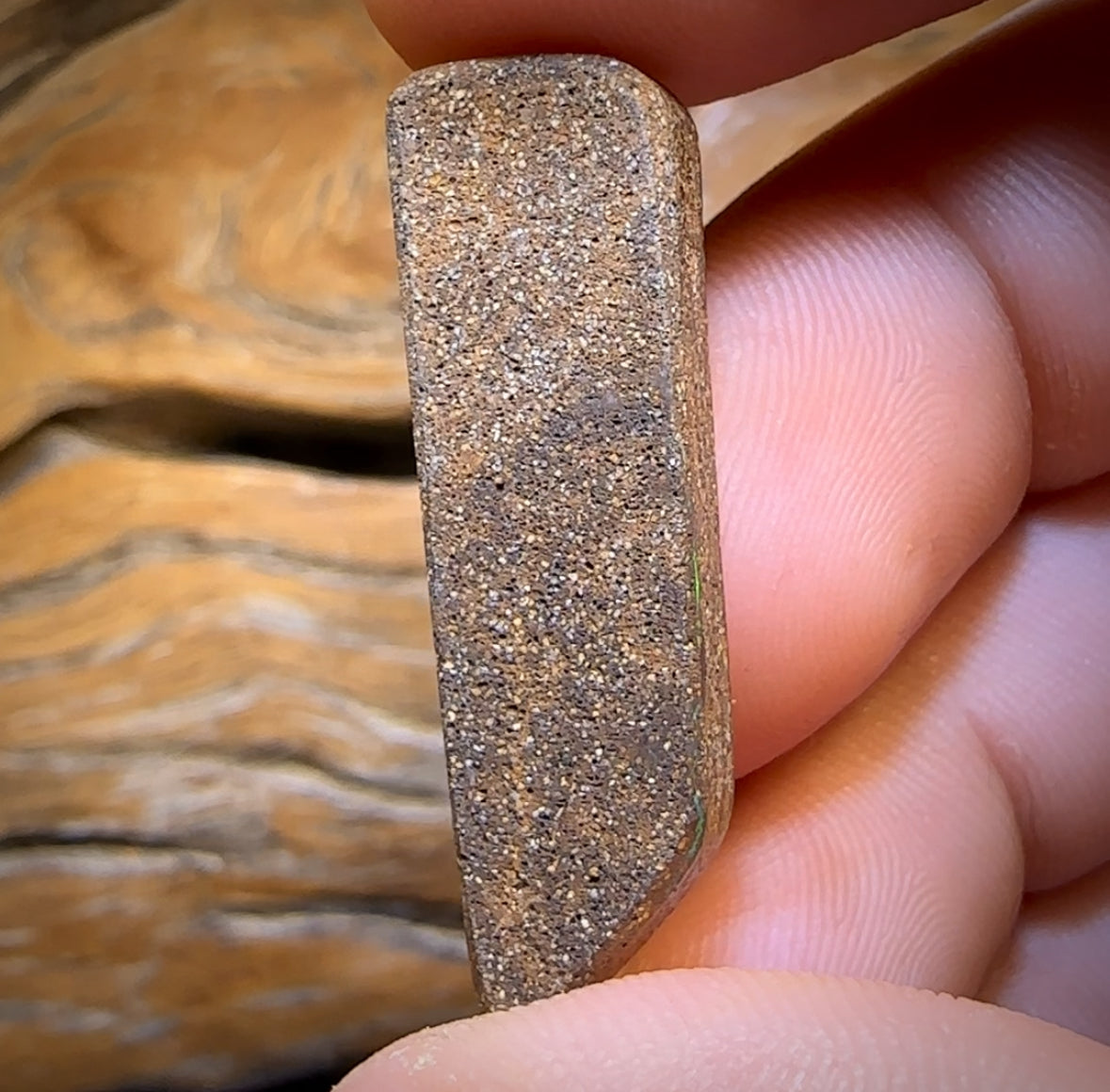 20.2cts - Gem Queensland Boulder Seam Opal. Reef Pattern!