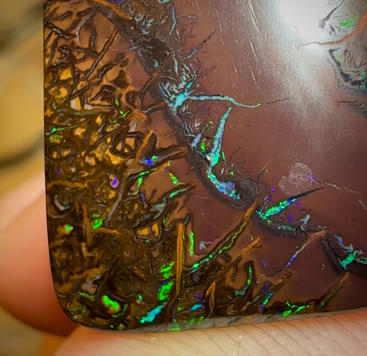 48.3cts - Tribal Pattern Electric Koroit Nut Opal - Opal Whisperers