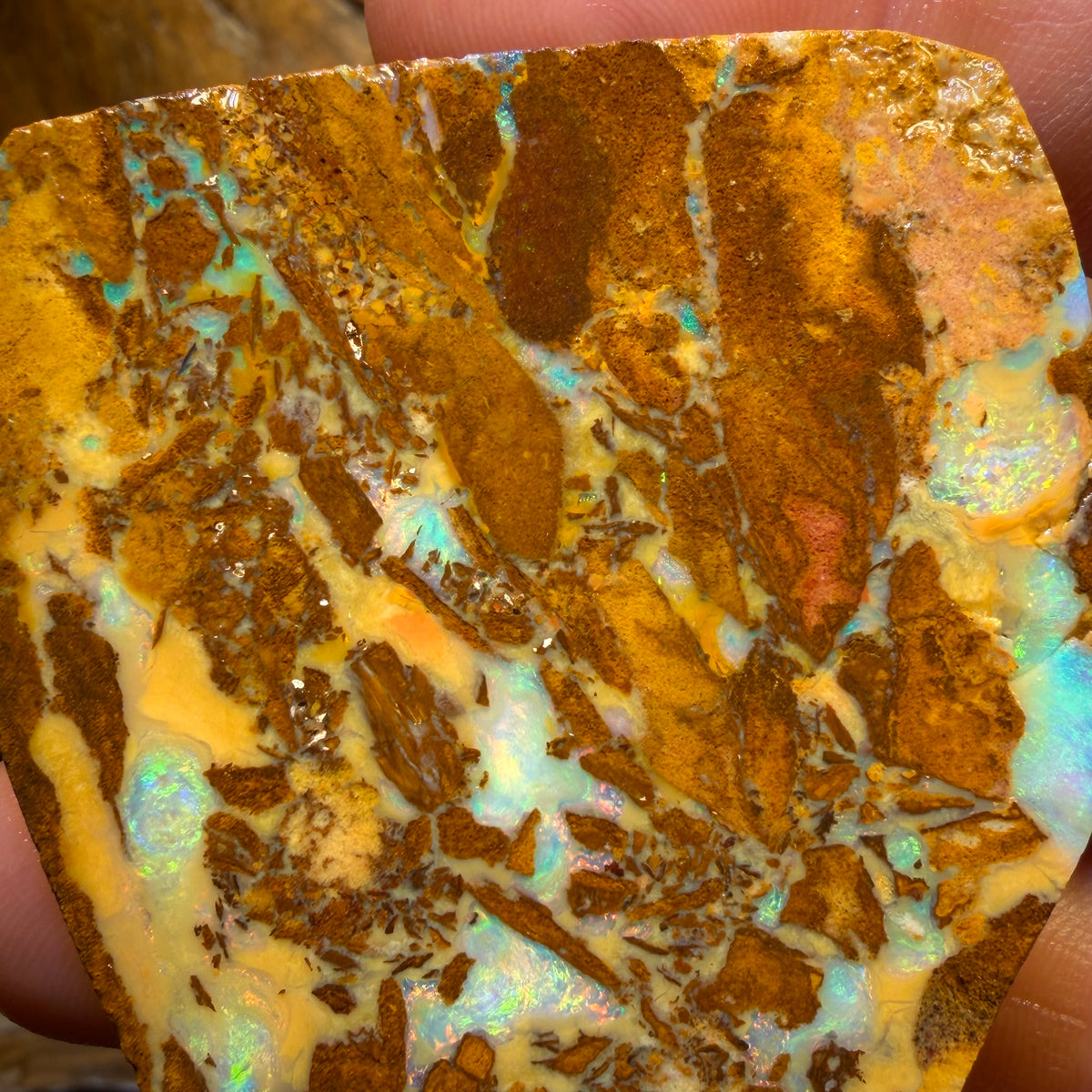 185.8cts - TOP Vegetation Fossil Replacement Boulder Opal Rub. Double Sided!