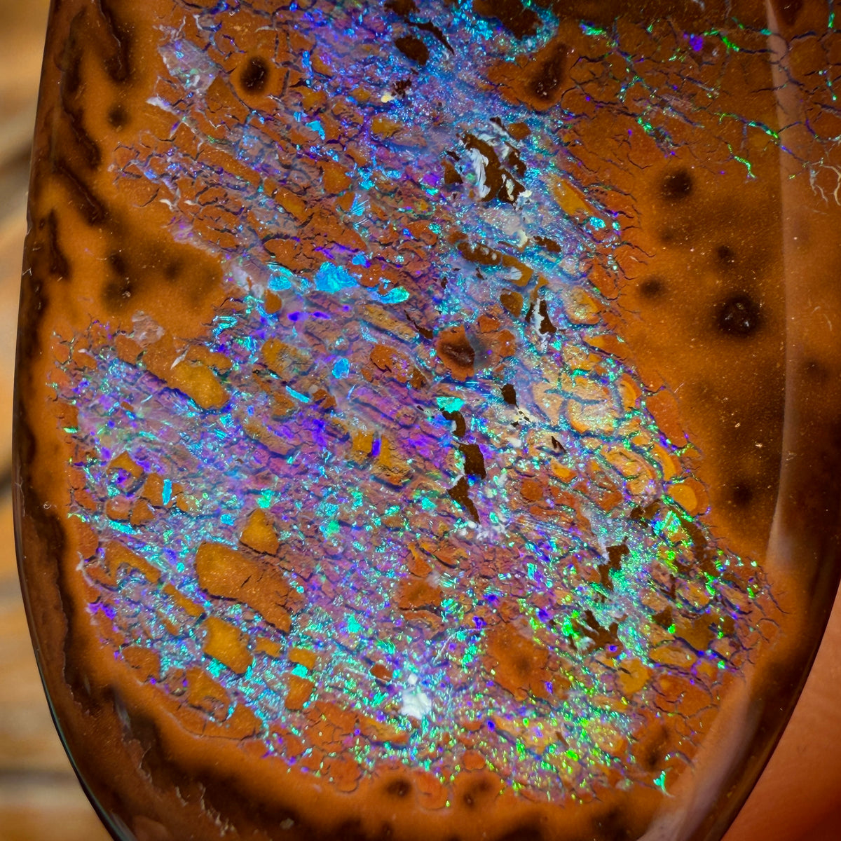 61.2cts - Top Queensland Boulder Opal from Yowah