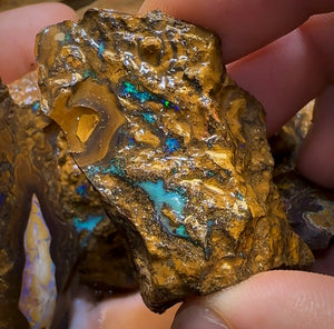 1563cts - 8x Yowah Opal Rough Parcel. Australian Boulder Opal