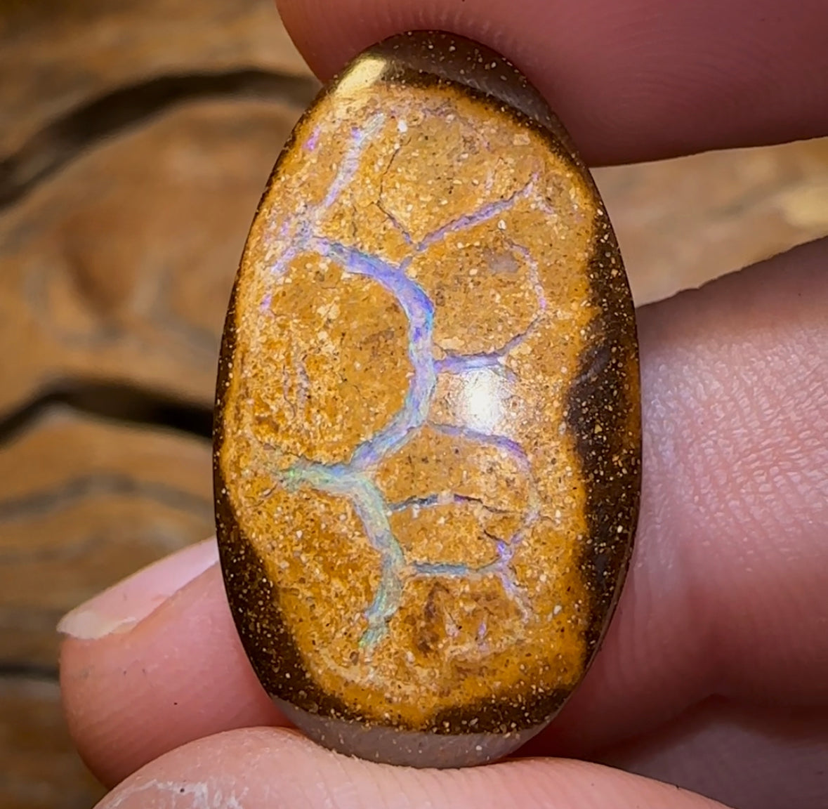 14.1cts - Queensland Boulder Opal. Yowah Nut - Opal Whisperers