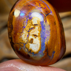 15.1cts - Yowah Nut Kernel Opal. Australian Boulder Opal