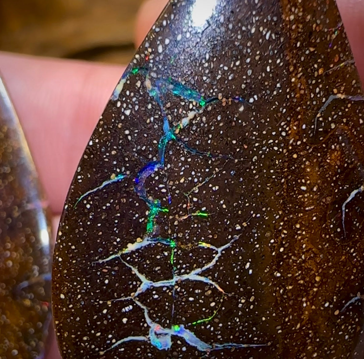 43.4cts - “Opal Web Tear Drops” Australian Boulder Opal Pair - Opal Whisperers