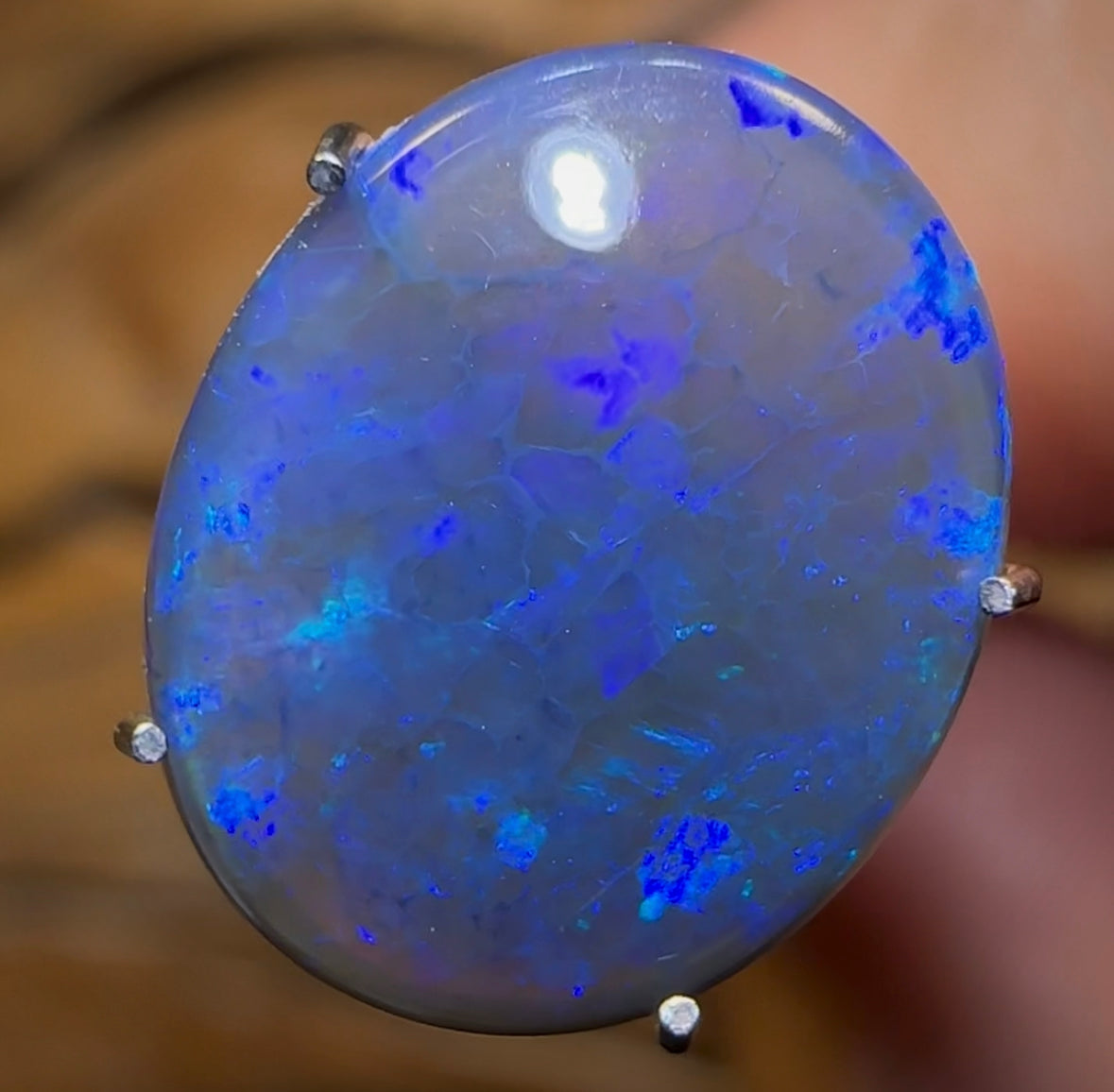 2.5cts - Black Opal from Lightning Ridge - Opal Whisperers
