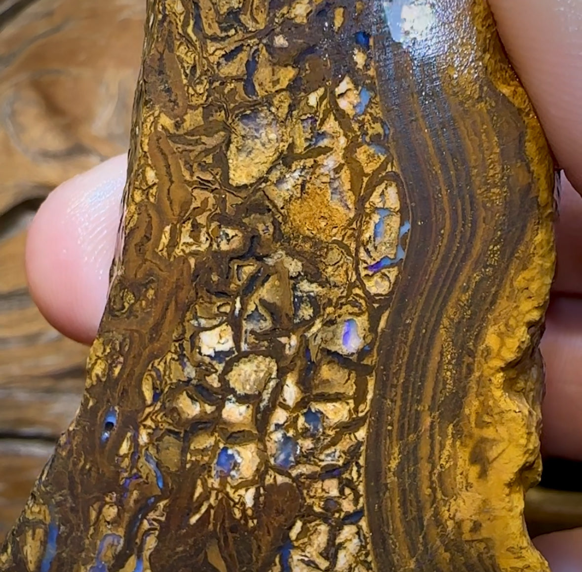 425cts - Queensland Boulder Opal Rough Piece