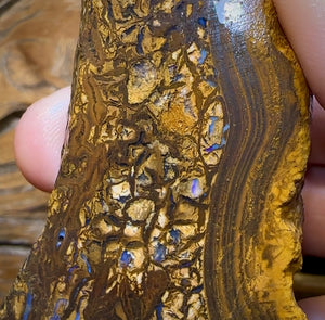 425cts - Queensland Boulder Opal Rough Piece