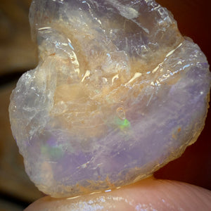19.4cts - Opalised Shell Geological Specimen from South Australia