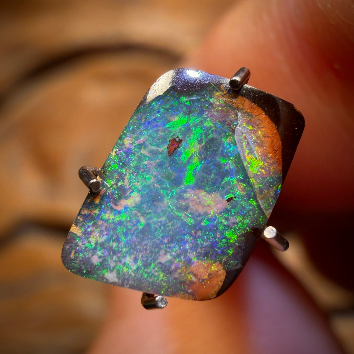 🔨 AUCTION 🔨 1.4cts - Queensland Boulder Seam Opal. Australian Opal