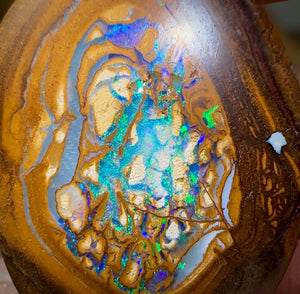 15.2cts - Yowah Nut Opal. Aquatic Pattern Partially formed Kernel Center .