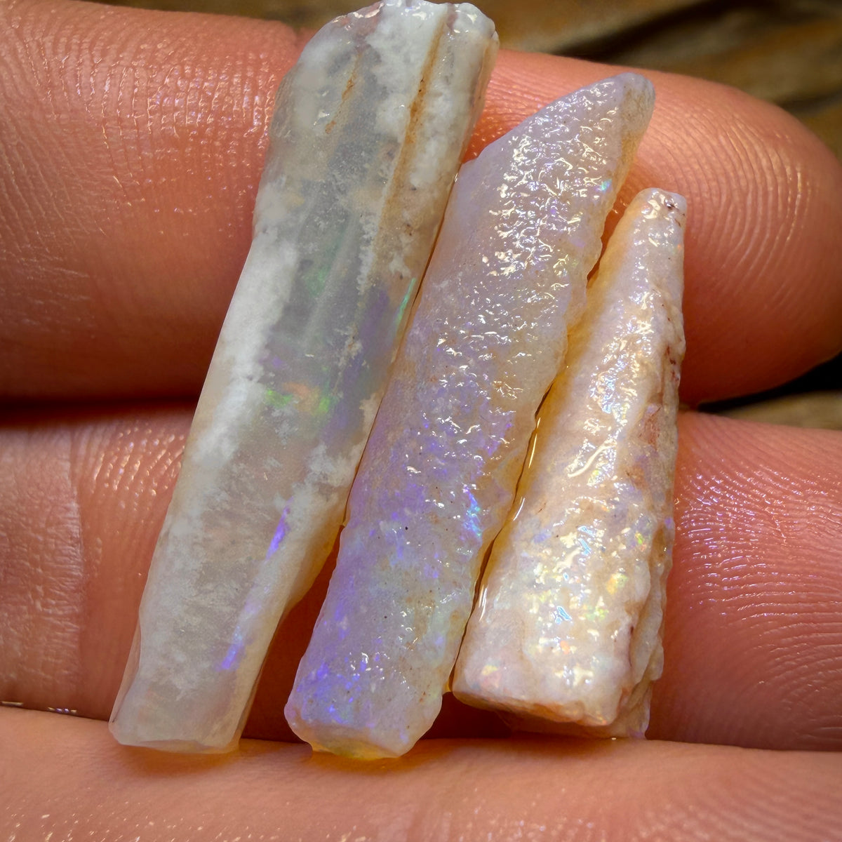 24.2cts - 3x Opalised Belemnite Geological Specimens from South Australia