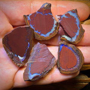 🔨 AUCTION 🔨 192.1cts - 5x Yowah Nut Kernel Rough Half’s Parcel