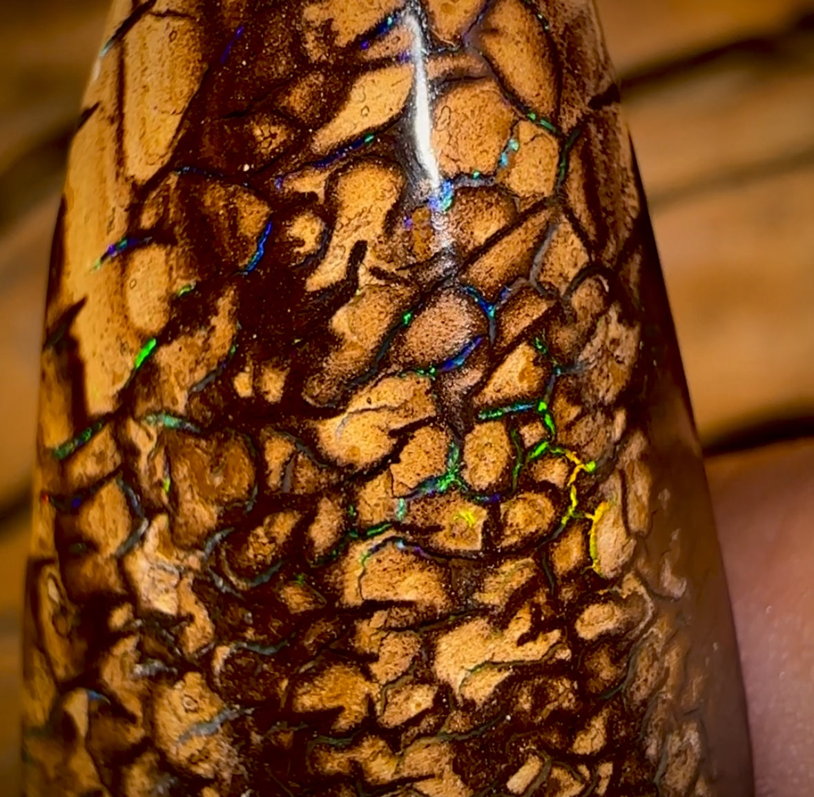 63.9cts - Tribal Queensland Boulder Opal from Yowah