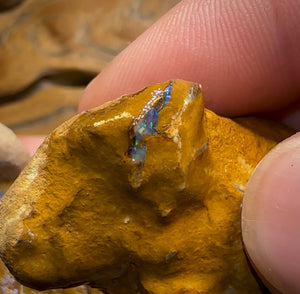 541.5cts - 7x Opalised Wood/Vegetation Fossil Rough Parcel from Yowah
