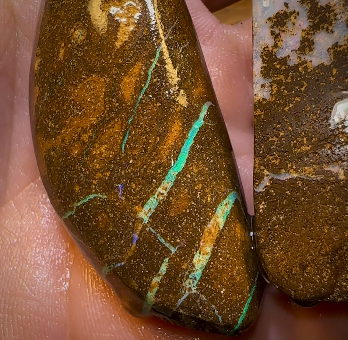 701.5cts - 3x Mixed Queensland Boulder Opal Rubs