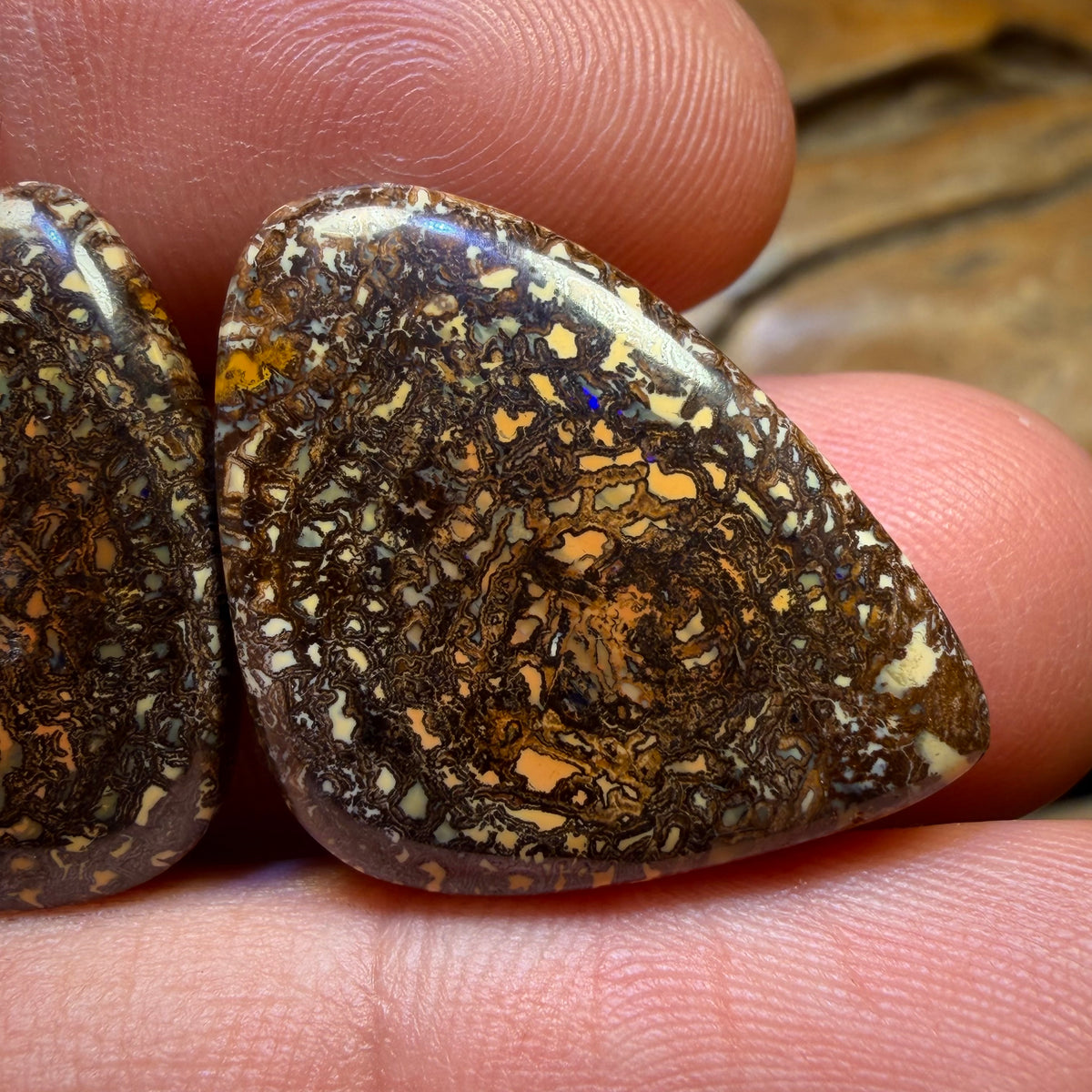 48,3cts - Stammes-Queensland-Boulderopal-Paar