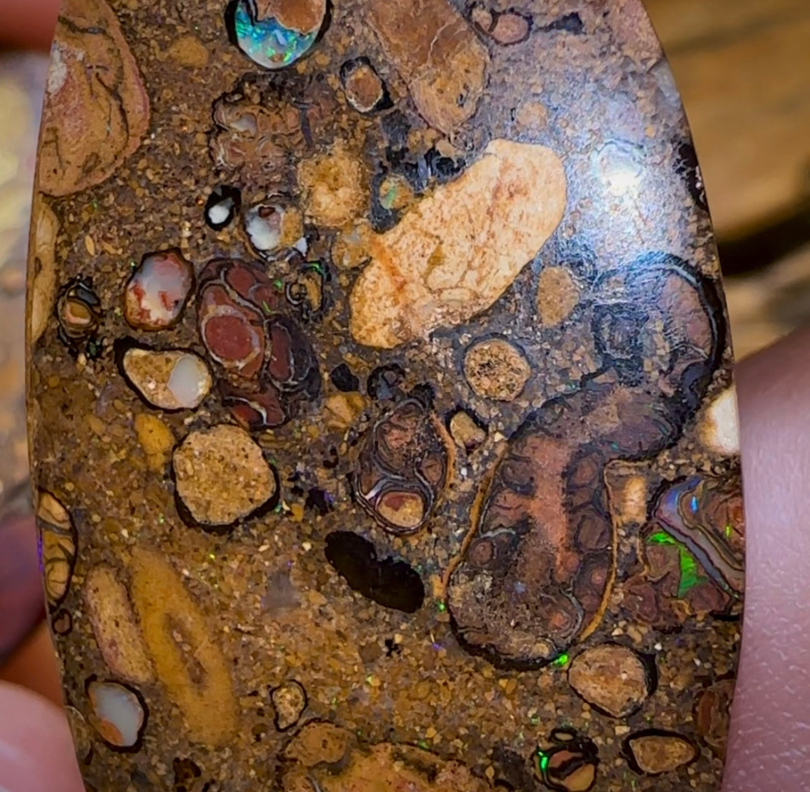 68.2cts - Big Yowah Nut Conglomerate Opal Pair BARGAIN