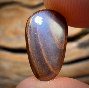 🔨 AUCTION 🔨 5.5cts - Full Face Yowah Nut Opal
