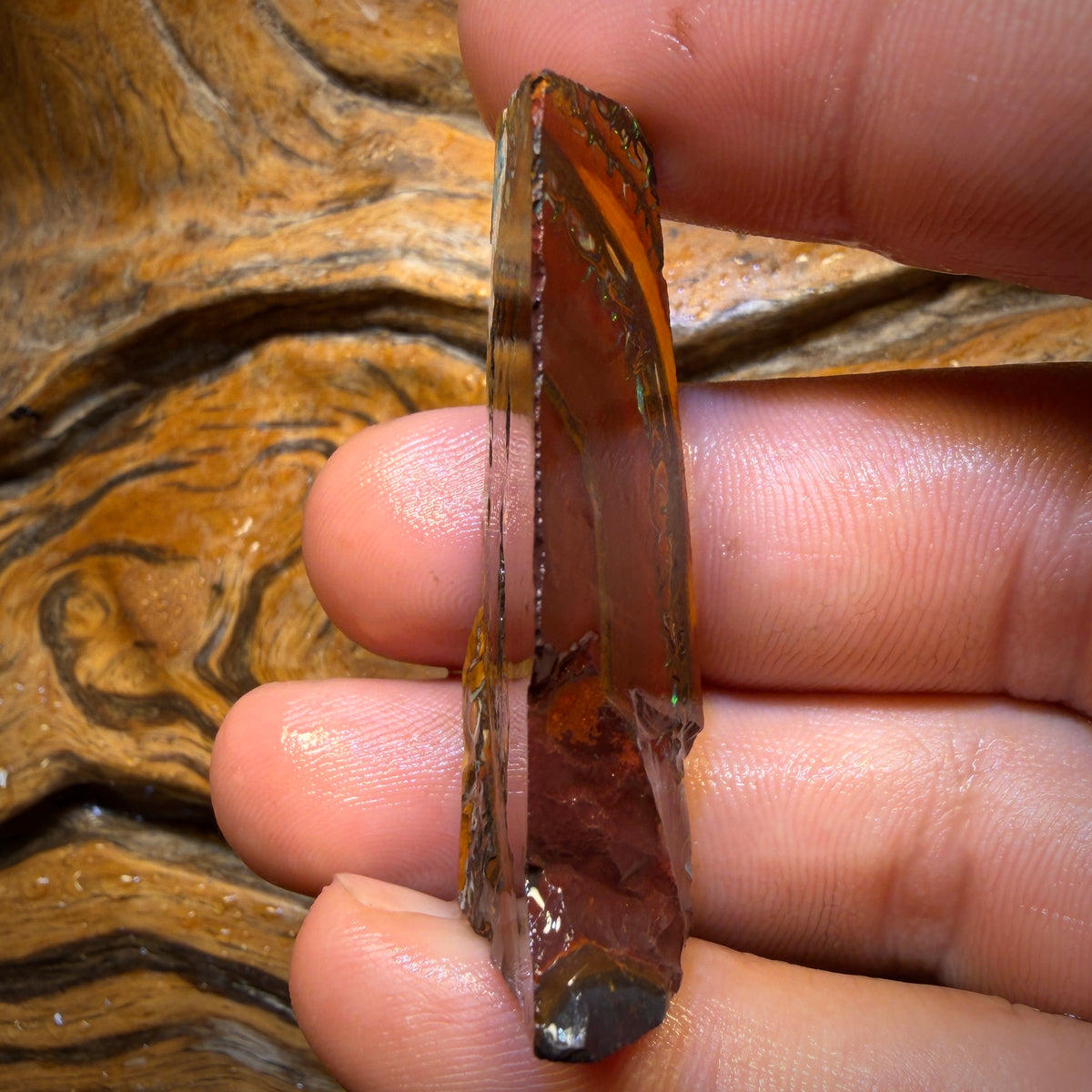 79.1cts - Tribal Yowah Nut Opal Rough Piece