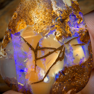 31.6cts - Top Australian Boulder Pipe Opal Picture Stone from Yowah