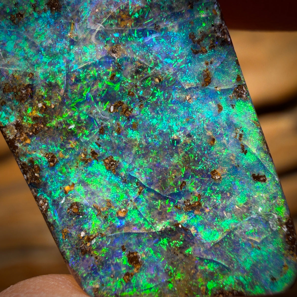 Banger Card! 21.1cts - Top Reef Pattern Queensland Boulder Seam Opal