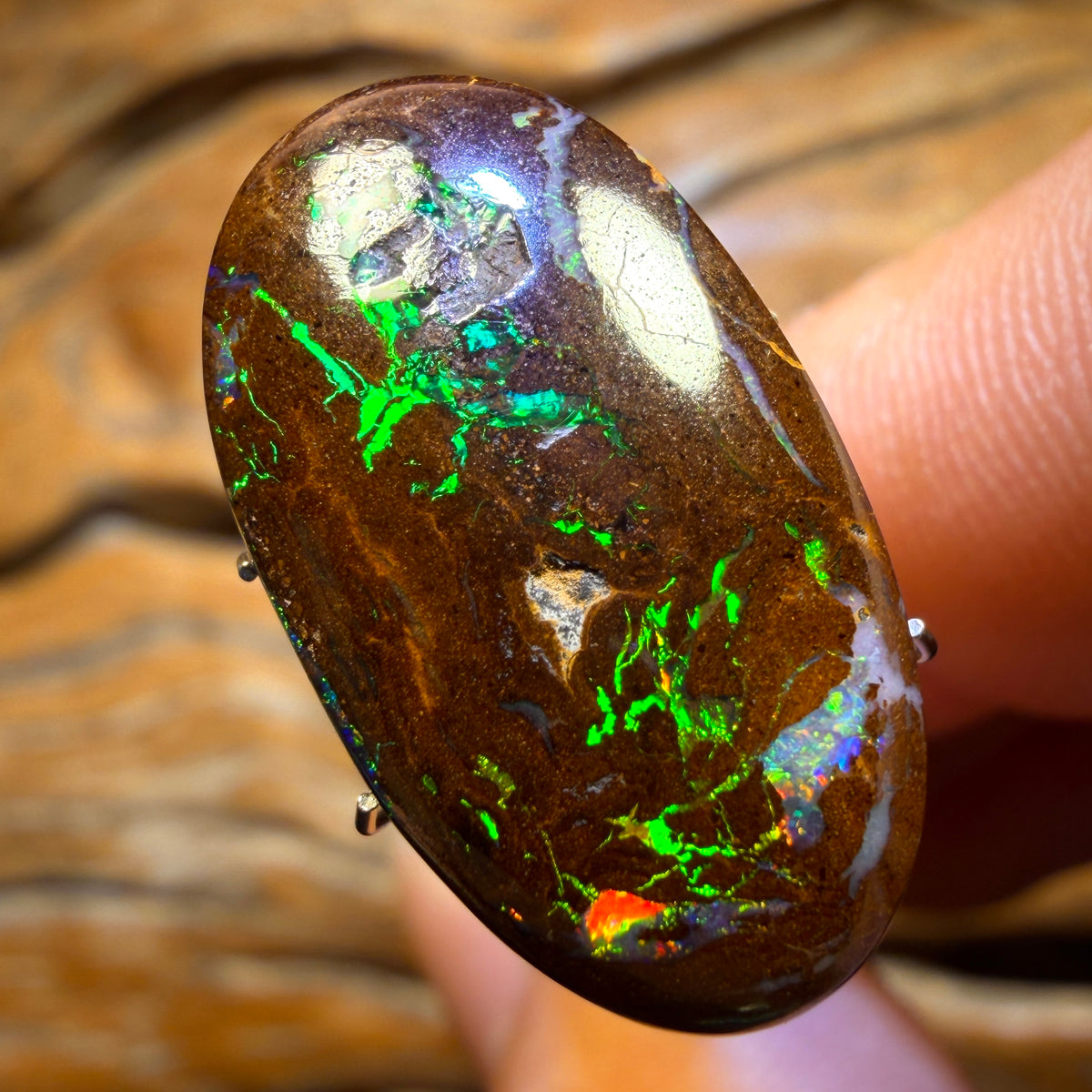 16.5cts - “Electric Boogaloo Bargain” Queensland Boulder Opal from Yowah