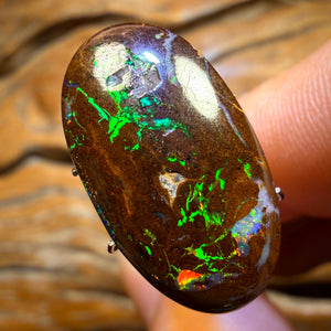16.5cts - “Electric Boogaloo Bargain” Queensland Boulder Opal from Yowah