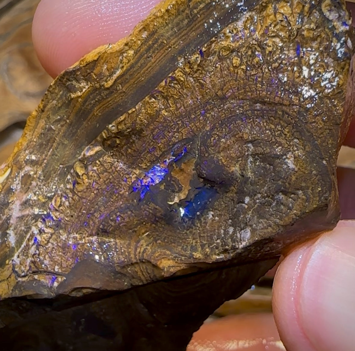 425cts - Queensland Boulder Opal Rough Piece